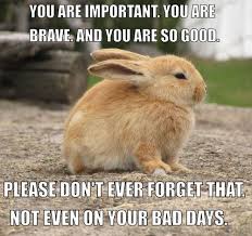 These Rabbits Who Know Exactly The Right Things To Say Encouragement Meme Animals Cute Animals