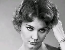 Polly Holliday's acting career and notable roles