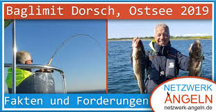 Cod (marine fish of the family gadidae). Baglimit Dorsch Ostsee 2019 Fakten Und Forderungen