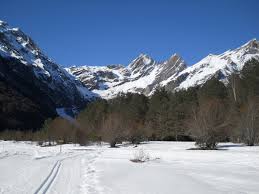 Image result for site:wikineos.com