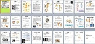 Skeletal System Exhibition Lab Stations By Biology Roots Tpt