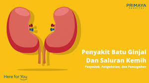 Diabetes dan obesiti adalah antara punca popular penyebab masalah penyakit buah pinggang. Penyakit Batu Ginjal Dan Saluran Kemih Penyebab Pengobatan Dan Pencegahan Primaya Hospital