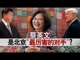 Image result for 美國支持蔡英文 2020