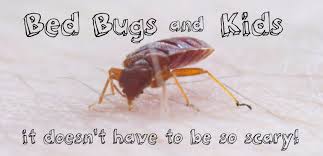 Pictures Of Bed Bug Bites On Kids Dengarden