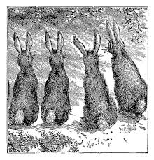 Your group rabbits row stock images are ready. Antique Images Easter Clip Art Animal Graphic Of 4 Rabbits Sitting In A Row Rabbit Illustration Rabbit Illustration Vintage Black And White Rabbit