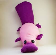 Platypus For Australia Handmade Plush Custom Cat Platypus