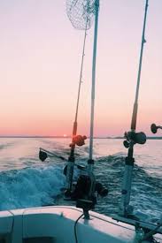 See more ideas about summer vibes, summer, summer aesthetic. Enjoy The Palm Life Summer Vibes Adventure Summer Pictures Summer Aesthetic
