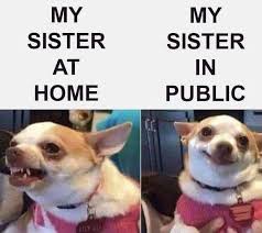 Ecosenpai Na Instagramie Best Regards To My Sister Follow Ecosenpaii For More Fallo Funny Instagram Memes Funny Dog Memes Funny Animal Memes