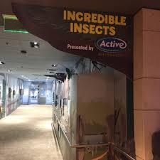 Therefore, before attempting a treatment program for locusts, always contact your pest management professional. Active Snags High Profile