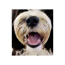 You provide the photo and let our artists do the rest. Personalised Pet Portrait Canvas Or Print Personalised Glass Blocks