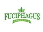 Fuciphagus agritech sdn bhd, prai, pulau pinang, malaysia. Fuciphagus Agritech Sdn Bhd Yan Wo Wang Jobs And Careers Reviews
