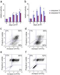 Check spelling or type a new query. Cell Death Stages In Single Apoptotic And Necrotic Cells Monitored By Raman Microspectroscopy Scientific Reports