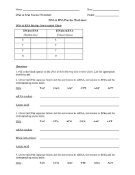 doc name date dna rna practice worksheet period dna rna