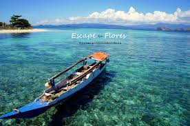 Pulau flores) is one of the lesser sunda islands, a group of islands in the eastern half. Flores Top 7 Reasons To Visit Flores Indonesia