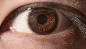 Image result for Pupil