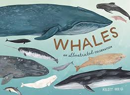 Image result for whales