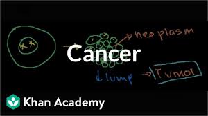 Blood contains three types of cells that can be cancerous. Cancer Video Cell Division Khan Academy