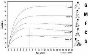 Cerebral Palsy Musculoskeletal Key