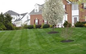 Kingstowne lawn & landscape provides all of the superior landscaping & lawn care services you need to transform and maintain your outdoor living space. Lawn Mowing By Kingstowne Lawn Landscape In Alexandria Va Alignable