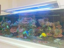 Jual Filter Aquarium Air Laut Aquarium Mainan Anak Ide