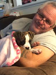 Another puppy went home ty so much Alyssa Brandon