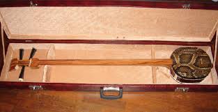 To combat the damage to performers' fingers, they often wear fingerpicks made from materials such as plastic, resin, or ivory. Sanxian Wikipedia