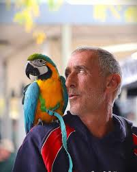 Kate Howarth Digital Comms