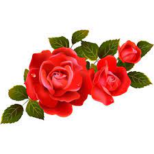 Red Roses Vector Image Yandeks Fotki Fotos De Rosas Arte Flor Rosas Papel De Parede