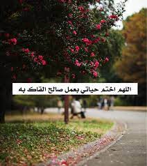 967 likes 61 comments aljanah palamrm543 on instagram أذكار إسلامية ديني دين اسلام اسلامي هاشتاق اذكار صور رمزيات خلفيات تذكير دنيا