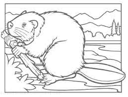 More 100 coloring pages from animal coloring pages category. Beaver Coloring Pages Printable Coloring Pages Animal Coloring Pages Coloring Pages Free Coloring Pages