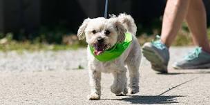 Pet Walk Ozaukee