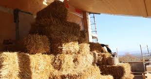 Costruire con paglia e terra cruda: workshop in cantiere nel verde ...