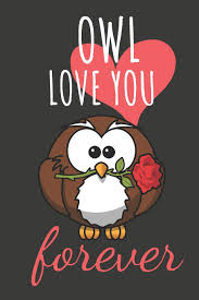 We heard a lot of dads asking whether they should buy valentine's gifts for their daughters or not. Jewelry Friendship Bracelets Valentine S Faux Suede Bracelet Owl Always Love You Love Bird Be My Valentine Gift For Daughter Boyfriend Gifts Unique Owl Gifts