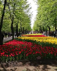 <p>півзахисник збірної україни олександр зінченко остаточно втратив довіру тренерського. Gollandiya V Ukrayini De Yiyi Shukati Ukrayinskij Kontent