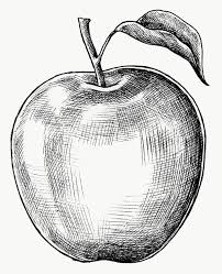In this video, you will learn and show how to draw an apple, which is one of the. Hand Drawn Fresh Apple Fruit Transparent Png Free Image By Rawpixel Com How To Draw Hands Pen Art Drawings Drawing Apple