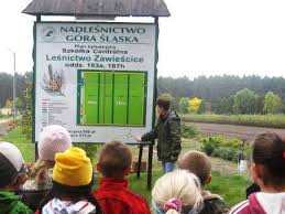 Gospodarka Łowiecka