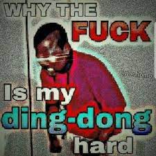 Pee Pee Hard Why The Fuck My Pee Pee Hard Know Your Meme