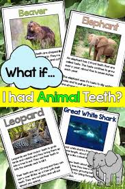 Animal Adaptations Project And Activities Project Based Learning Animal Adaptations Project Based Learning Adaptation Projects