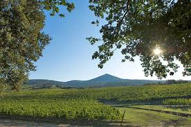 After pieve santa restituta in 1994, angelo gaja purchased a second tuscan property, naming it ca marcanda in 1996. Castagneto Carducci Ferienwohnung Ferienhaus Urlaubstipps