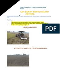 Yang uniknya penampilan penari yang terdiri dari. Penanaman Padi