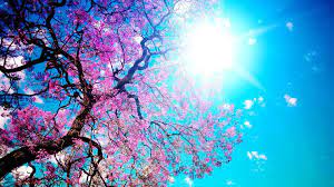 But we haven't just picked the pretty ones. Free Download Good Wallpapers Top Good Backgrounds Wallpaperaccess 1920x1080 For Your Desktop Mobile Tablet Explore 30 Wallpaper Good Good Wallpapers Good Wallpaper Good Night Wallpaper
