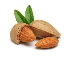 Benefits Of Sweet Almond Oil For Hair And Skin Facts You Need To Know I Best Carrier Oils Isabella S Clearly In 2020 Coconut Benefits Coconut Oil For Skin Tea Tree