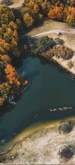 Vivo nickname animasi lockscreen / gambar anime pa. 440 Ide Vivo Lockscreen Di 2021 Dinding Penahan Dexter Morgan Orphan Black