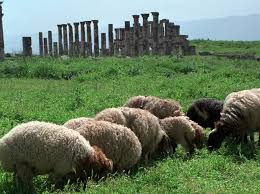 Assad hatte dem bau dieser pipeline mit rücksicht auf russland nicht zugestimmt. Syrien Vor Dem Burgerkrieg Sachmet