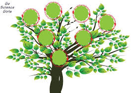 Family Tree Template For Kids 15 Designs Showing 3 4