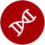 Hola que tal viewers y suscriptores de mí canal hoy les he traído un nuevo vídeo, en el cual les enseñaré el hack del juego plague inc. . Plague Inc Mod Apk V1 18 6 Unlimited Dna Download 2021
