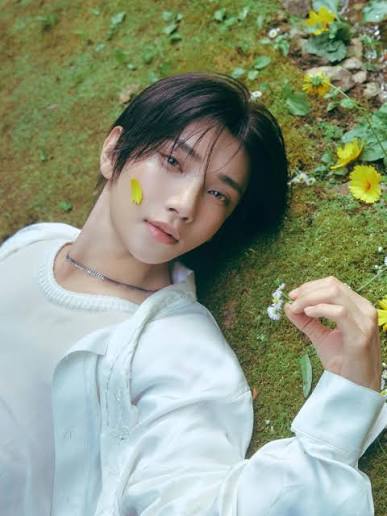SEVENTEEN | JEONGHAN X JOSHUA 1st Mini Album '𝗗𝗥𝗘𝗔𝗠𝗦𝗖𝗔𝗣𝗘' 𝗗𝗮𝘆𝗱𝗿𝗲𝗮𝗺𝗲𝗿𝘀 #JOSHUA #조슈아 2026.10.19 6PM (KST) / 5AM (ET) #JxJ #정한X조슈아 #DREAMSCAPE | Instagram