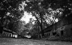 El hecho sucedió en la noche del 13 de noviembre de 1985 a las 9:40p.m., cuando una erupción en el nevado del ruiz produjo una. Armero Vivo En La Memoria De Un Cronista La Cebra Que Habla