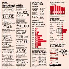 Prices Of Horses Plunge 40 60 Since 2012 On Oversupply Of