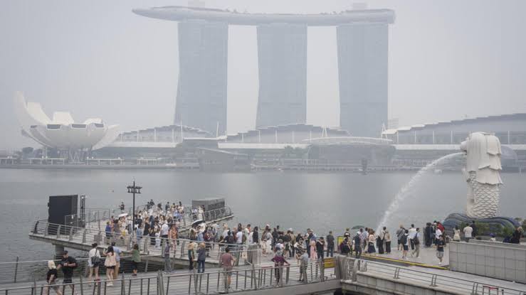 Singapore widens haze probe to local firms linked to Indonesian fires